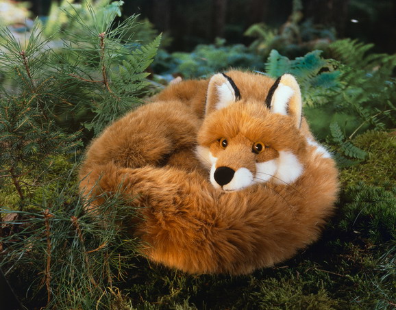 Fuchs