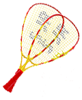 Speedminton